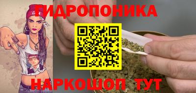 шишки Комсомольск-на-Амуре